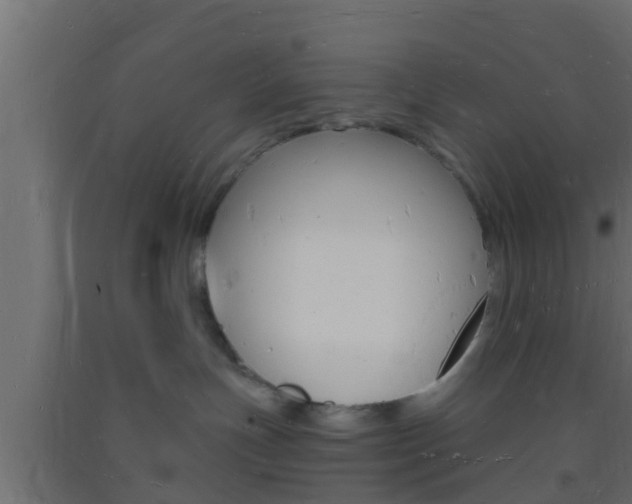 X0000093720191200710160759
