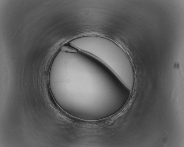 X0000093720193200710160758