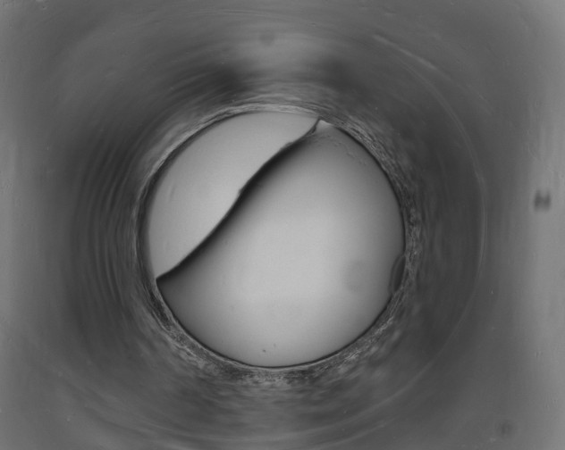 X0000093720194200710160758