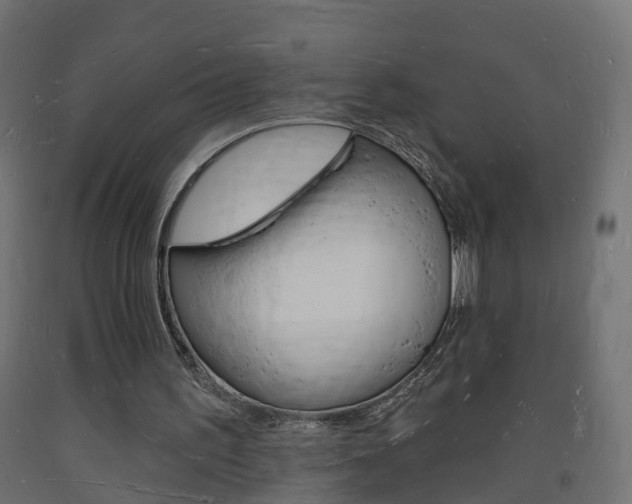 X0000093720195200710160758