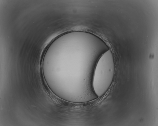 X0000093720196200710160758
