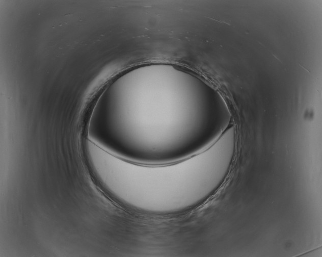 X0000093720197200710160758