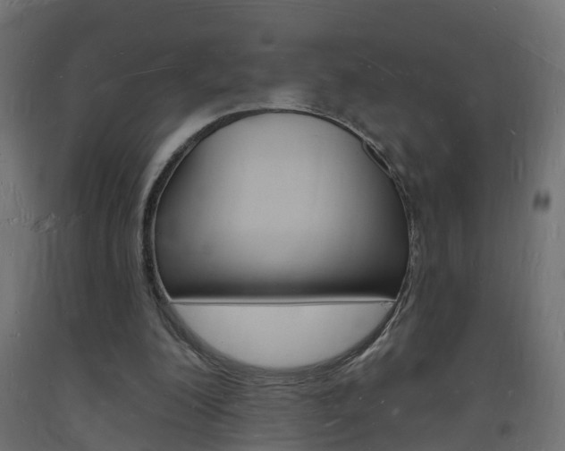 X0000093720200200710160758