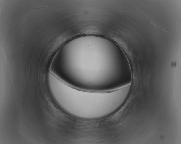 X0000093720201200710160758
