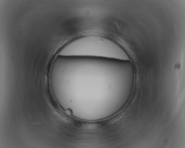 X0000093720202200710160758