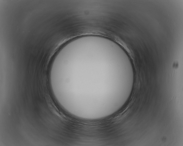 X0000093720203200710160758