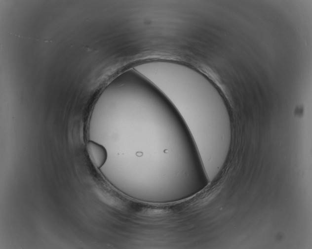 X0000093720205200710160758
