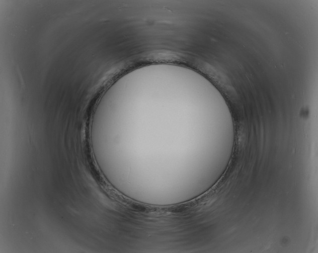 X0000093720206200710160758