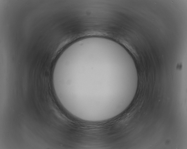 X0000093720207200710160758