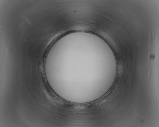 X0000093720208200710160758