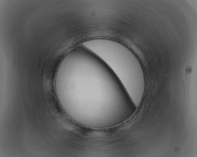 X0000093720209200710160758