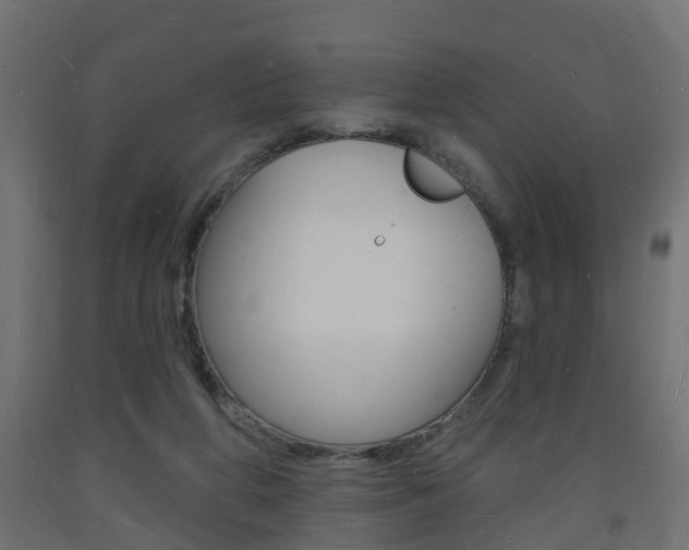 X0000093720210200710160758