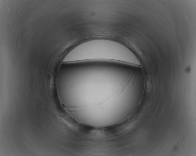 X0000093720211200710160758