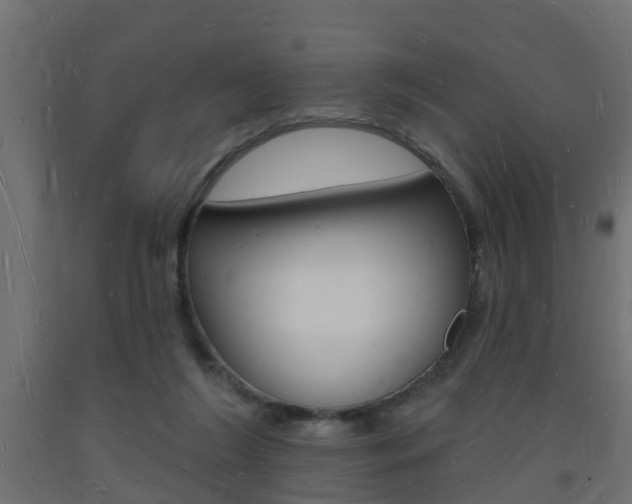 X0000093720212200710160758