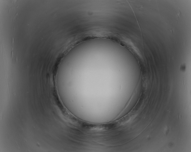 X0000093720213200710160758