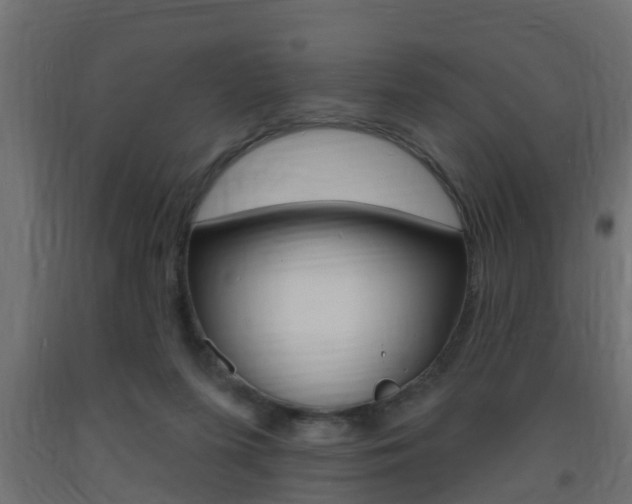 X0000093720215200710160758