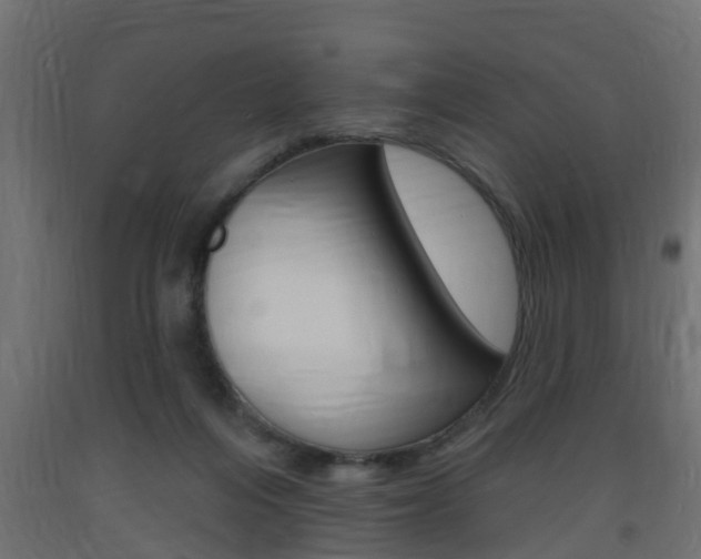 X0000093720216200710160758