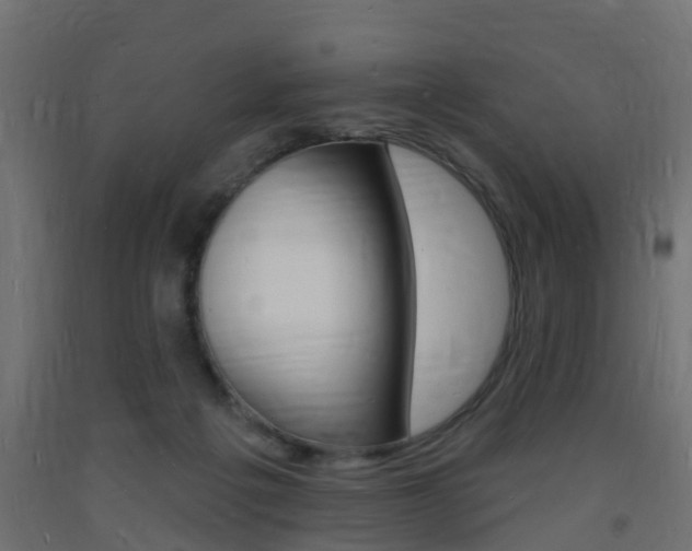 X0000093720217200710160758