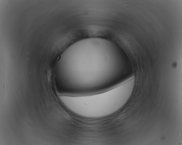X0000093720219200710160758