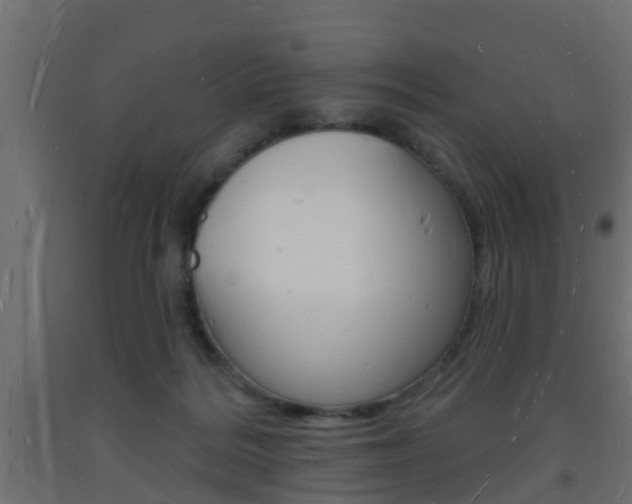 X0000093720220200710160758
