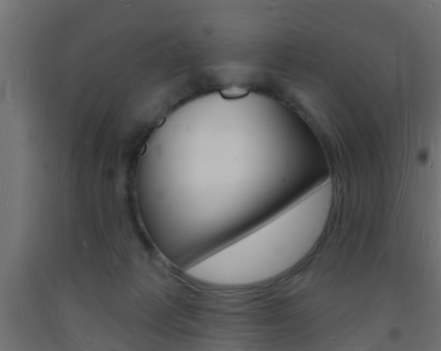 X0000093720221200710160758