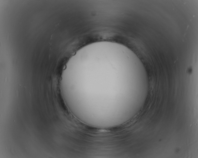 X0000093720222200710160758