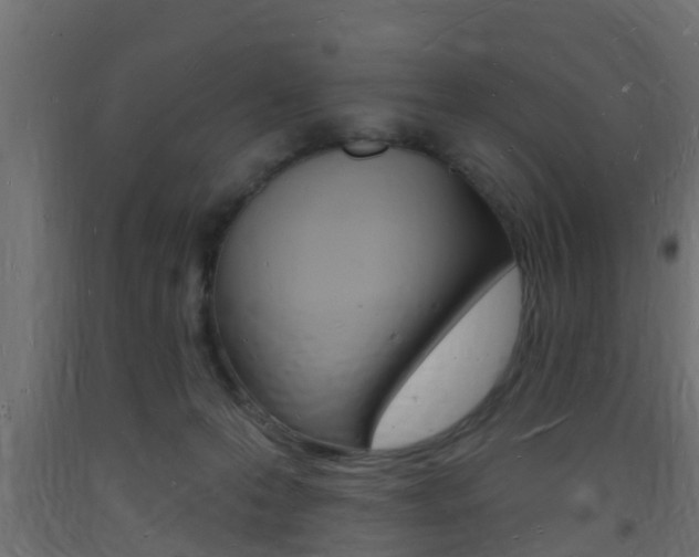 X0000093720223200710160758