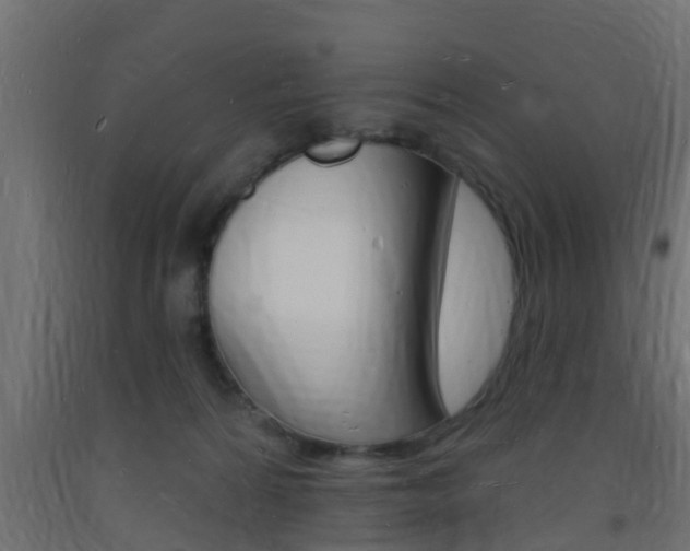 X0000093720224200710160758
