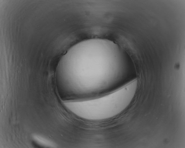 X0000093720225200710160758