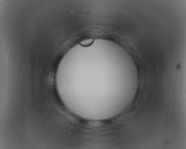 X0000093720226200710160758