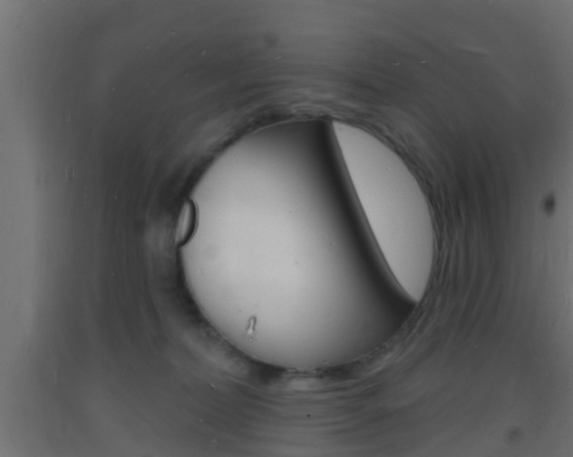 X0000093720228200710160758