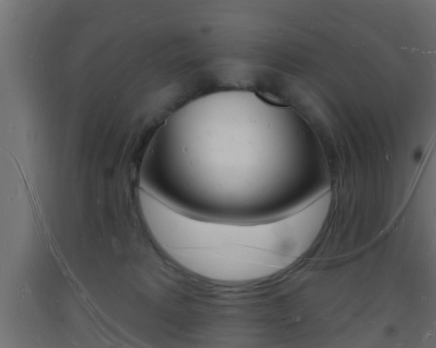 X0000093720229200710160758