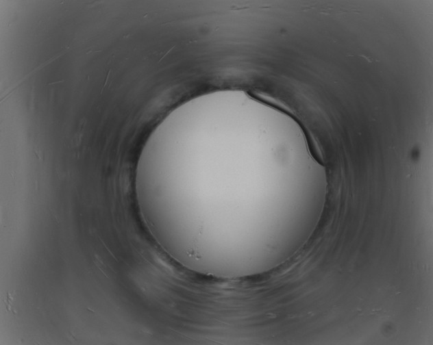 X0000093720232200710160758