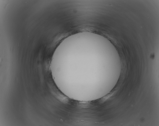 X0000093720240200710160758