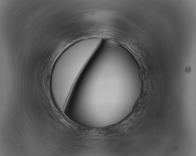 X0000093720241200710160757