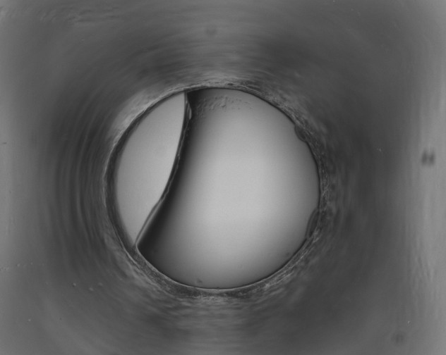 X0000093720242200710160757