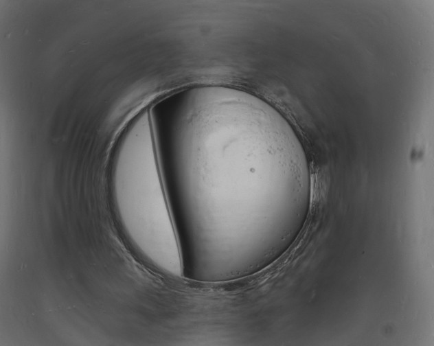 X0000093720243200710160757