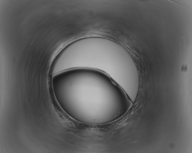 X0000093720244200710160757