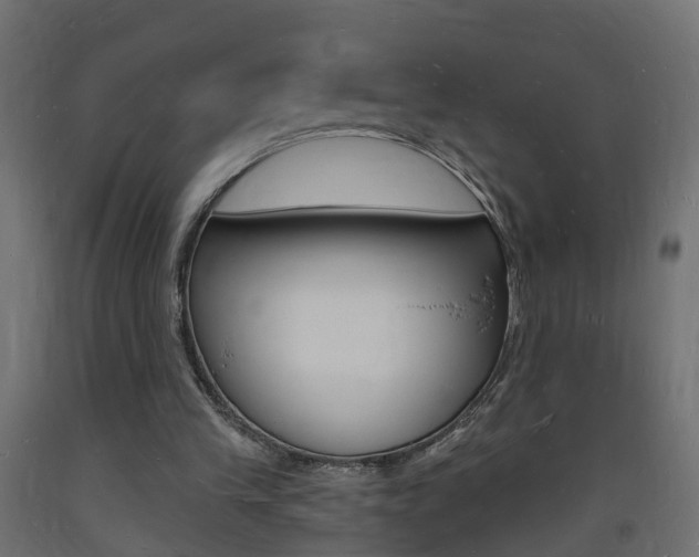 X0000093720245200710160757