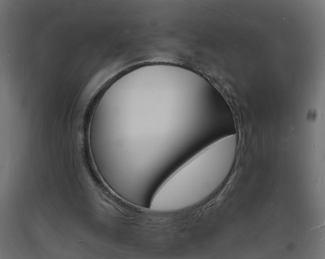 X0000093720247200710160757
