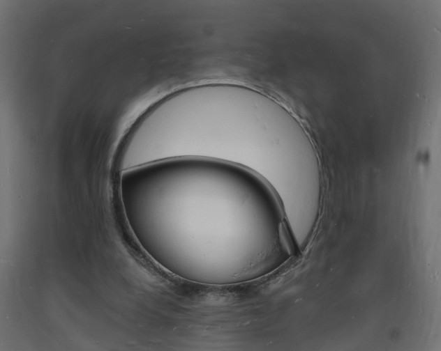 X0000093720248200710160757