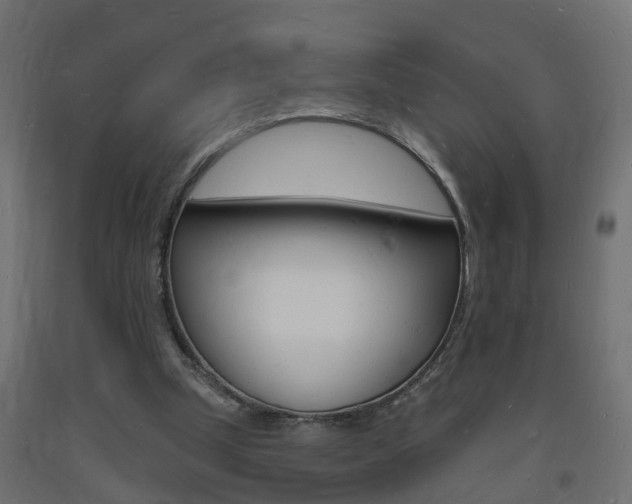 X0000093720249200710160757