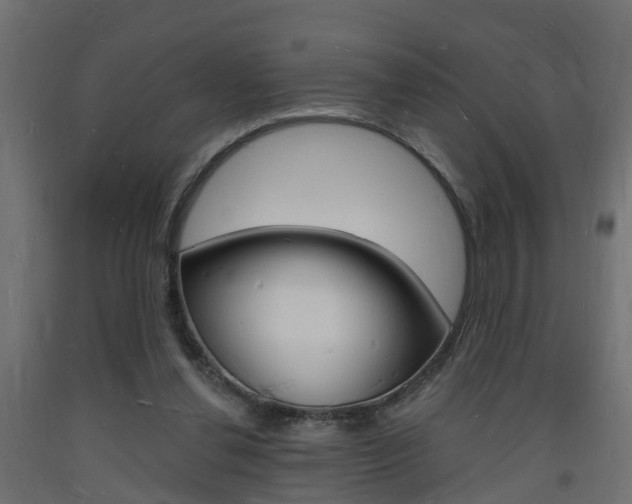 X0000093720252200710160757