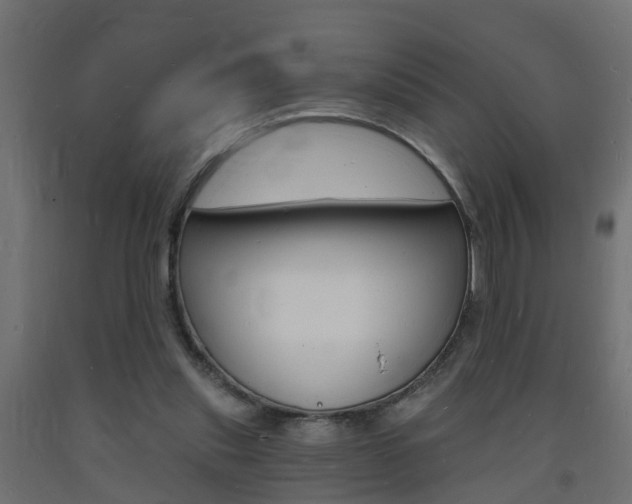 X0000093720253200710160757