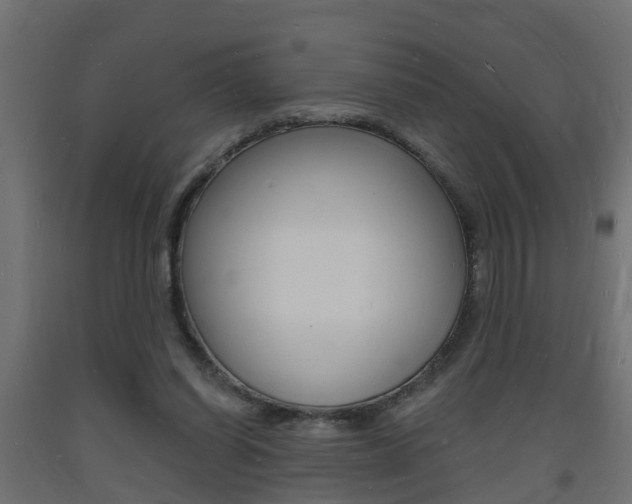 X0000093720254200710160757