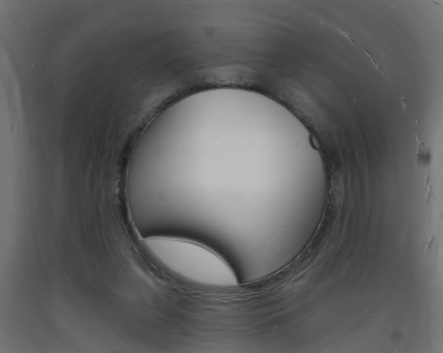 X0000093720255200710160757