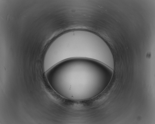X0000093720256200710160757