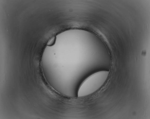 X0000093720257200710160757