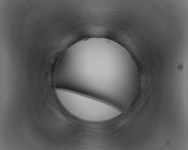X0000093720259200710160757