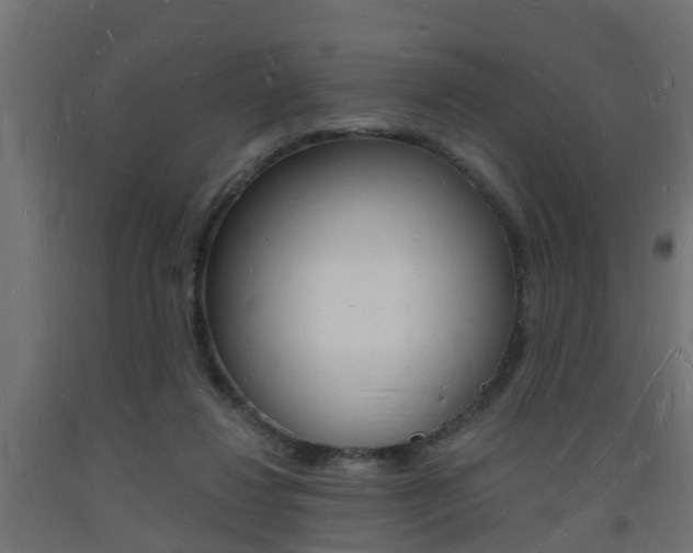 X0000093720260200710160757